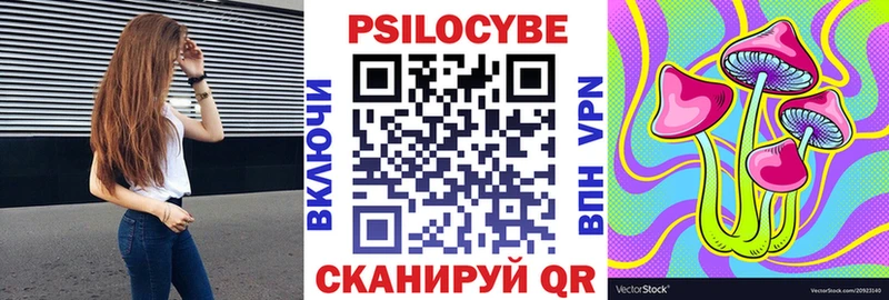 mega онион  Долгопрудный  Псилоцибиновые грибы мицелий 