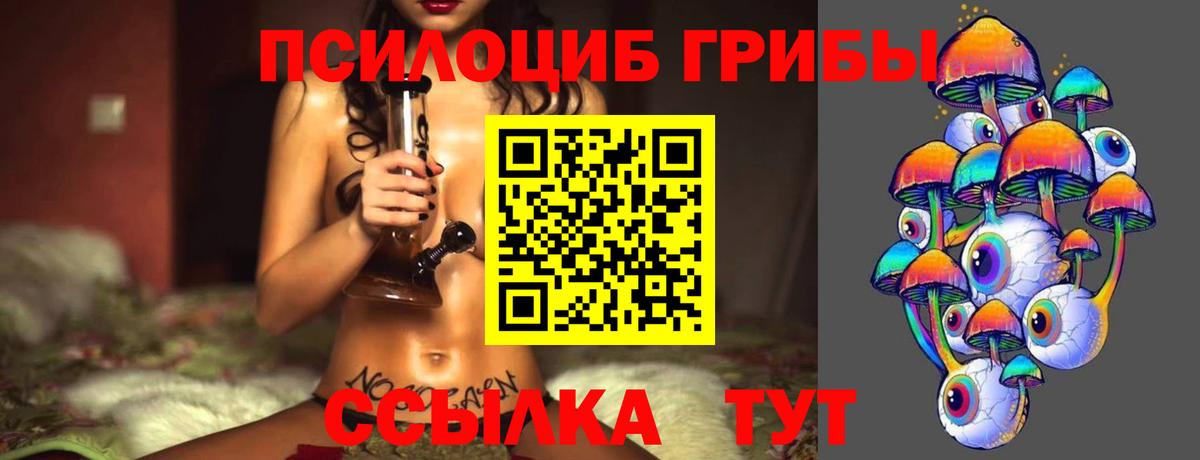 Долгопрудный  Галлюциногенные грибы мицелий  Галлюциногенные грибы мицелий  Вход с VPN 