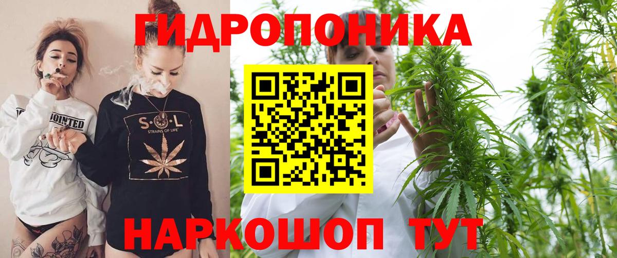 Конопля планчик  Вход с VPN  МАРИХУАНА марихуана  Канабис SATIVA & INDICA  Долгопрудный  Бошки Шишки MAZAR 
